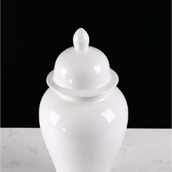 White Finished Porcelain Jinger Jar